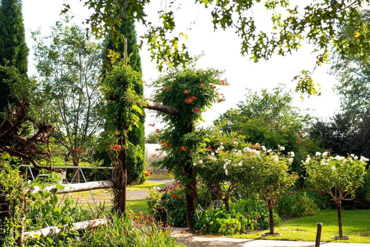 Wetlands Country House & Sheds Wakkerstroom Eksteriør billede